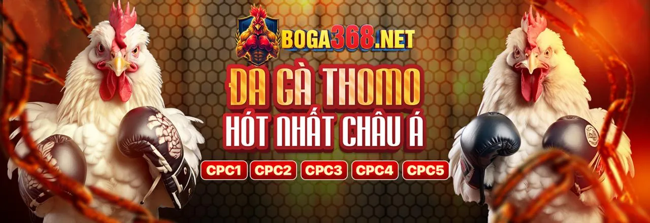 Giao diện đặt cược đá gà neo88 nổ hũ